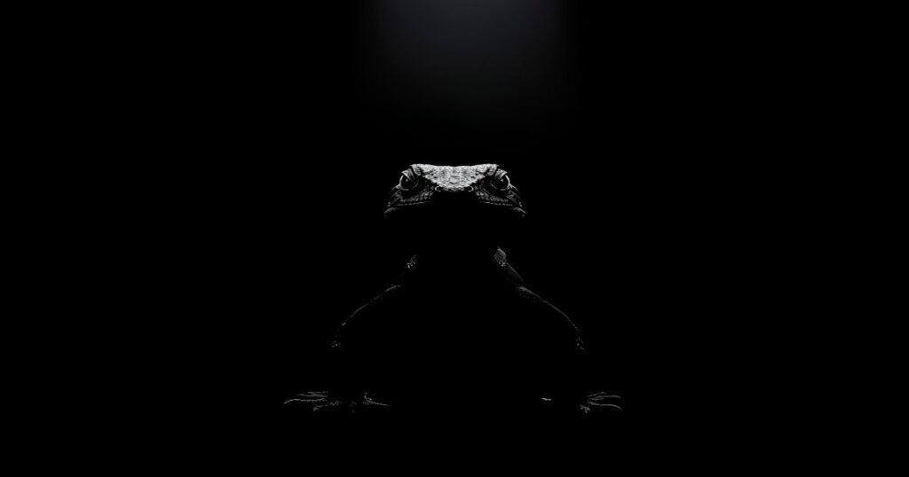 O Que Significa Sonhar com Lagarto
